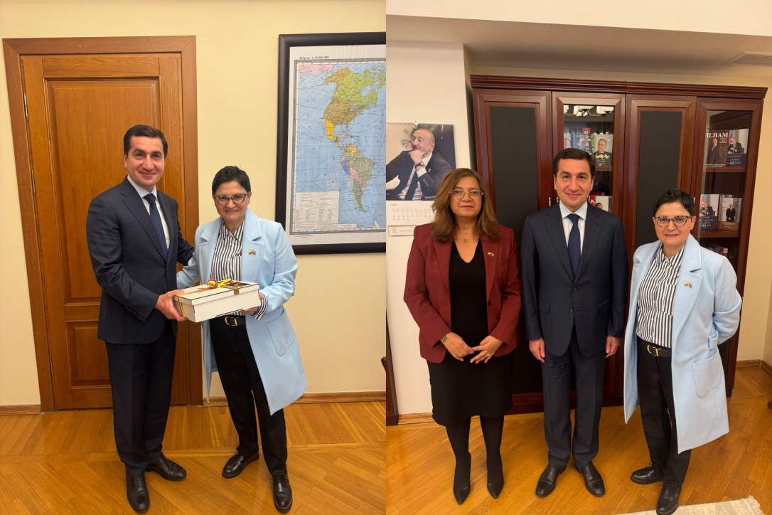 Хикмет Гаджиев обсудил с замглавы МИД Колумбии сотрудничество и обмен опытом в разминировании