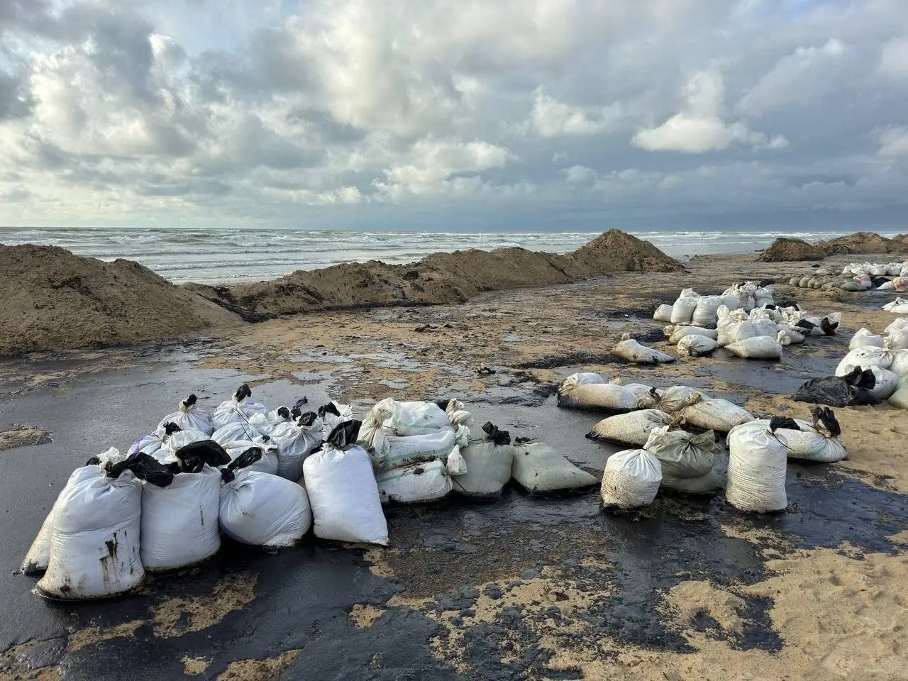 Захарова обвинила Турцию в содействии «экологическому удару» по Черному морю