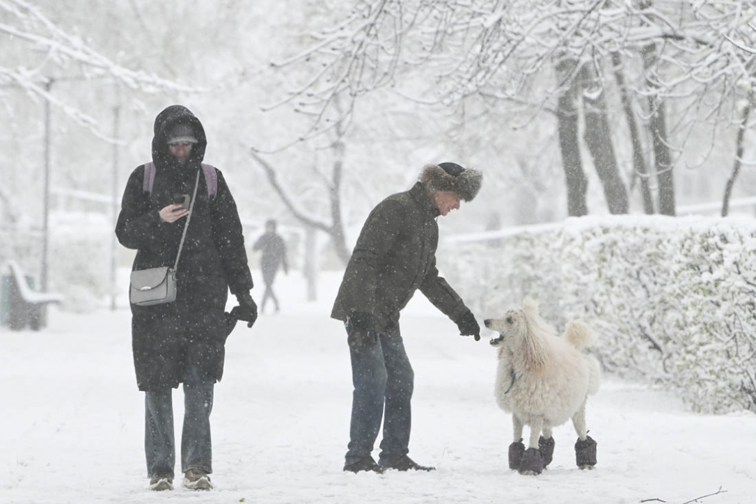 Москву накрыл снегопад