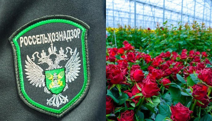 Россия засомневалась в происхождении армянской продукции и усилила проверки