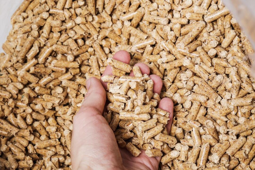 Азербайджан нарастил импорт подсолнечного шрота из Татарстана