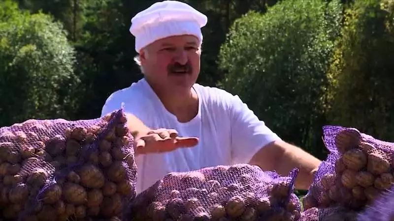 Армения ответила Беларуси: займитесь выращиванием картофеля