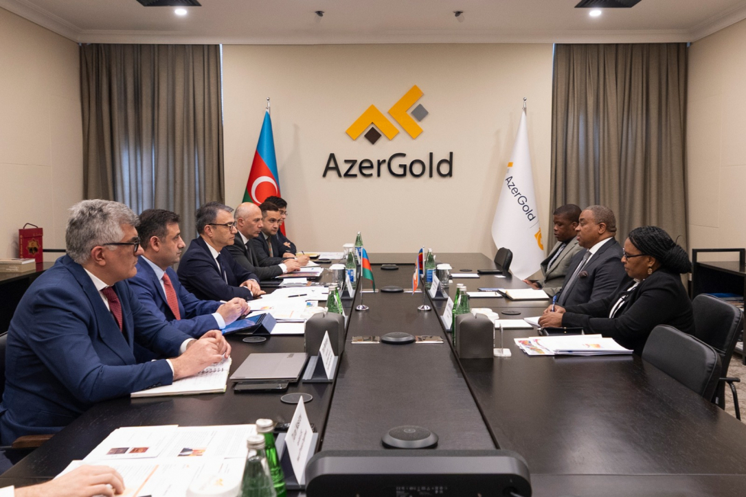 Королевство Эсватини сделало деловое предложение AzerGold