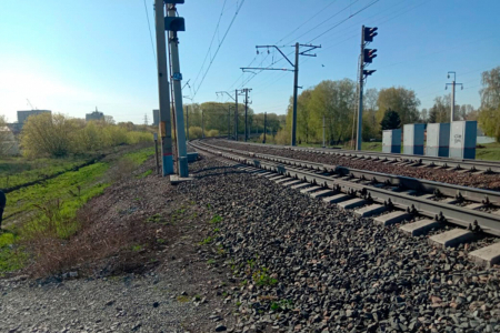 В Азербайджане запретили пасти скот и строить дома рядом с железной дорогой
