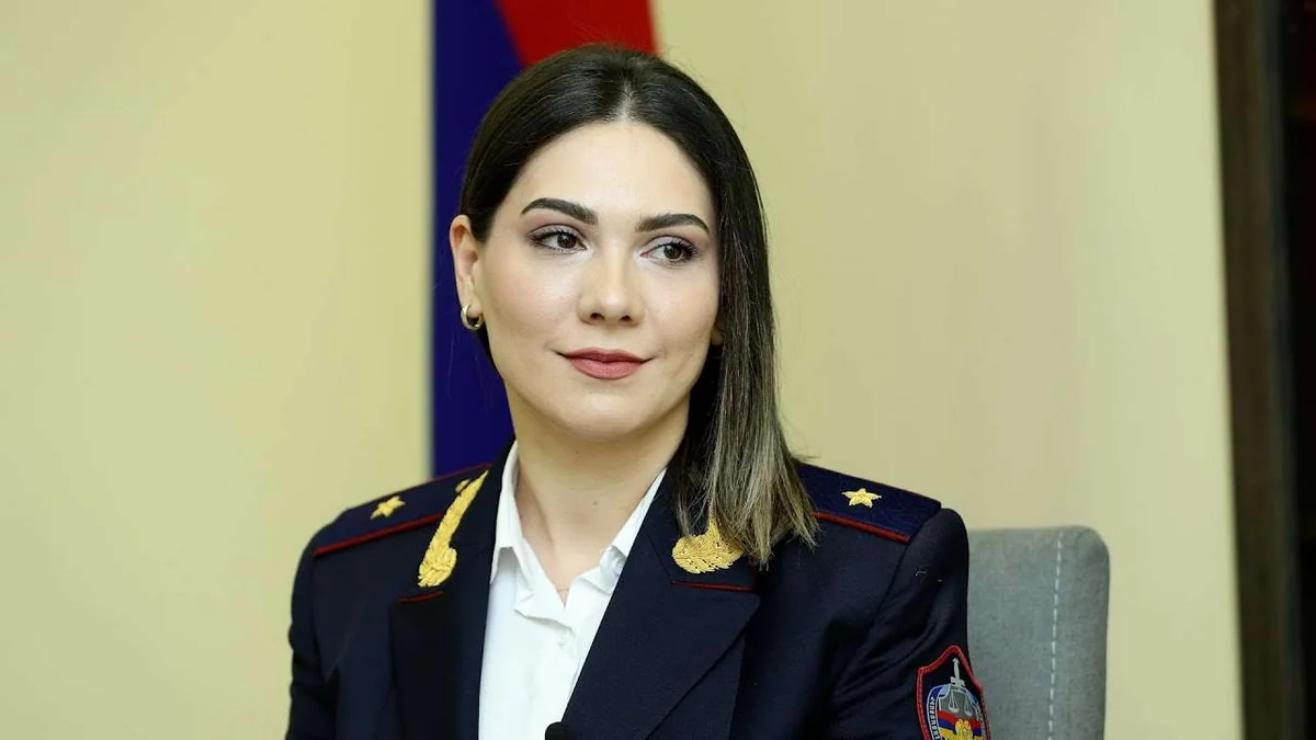 Минюст Армении отверг связь социальных реформ с избирательной кампанией