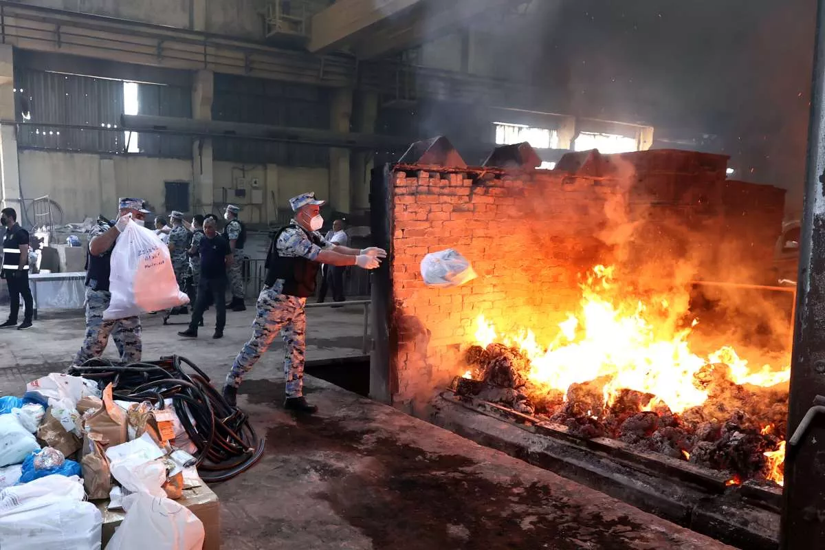 В Азербайджане сожгли 5 тонн наркотиков и десятки тысяч кустов конопли 2 В Азербайджане сожгли 5 тонн наркотиков и десятки тысяч кустов конопли