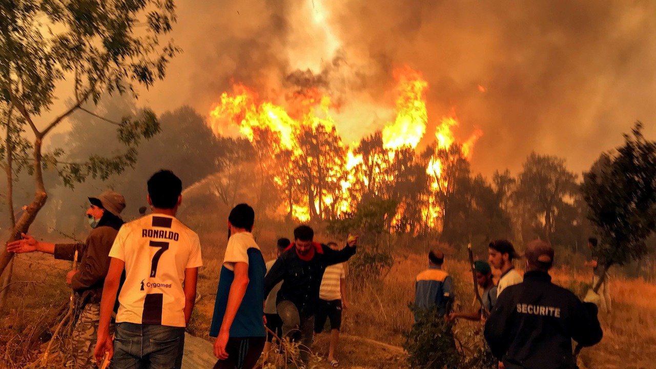 Президент Алжира поручил ввести смертную казнь за поджоги лесов 2 Президент Алжира поручил ввести смертную казнь за поджоги лесов