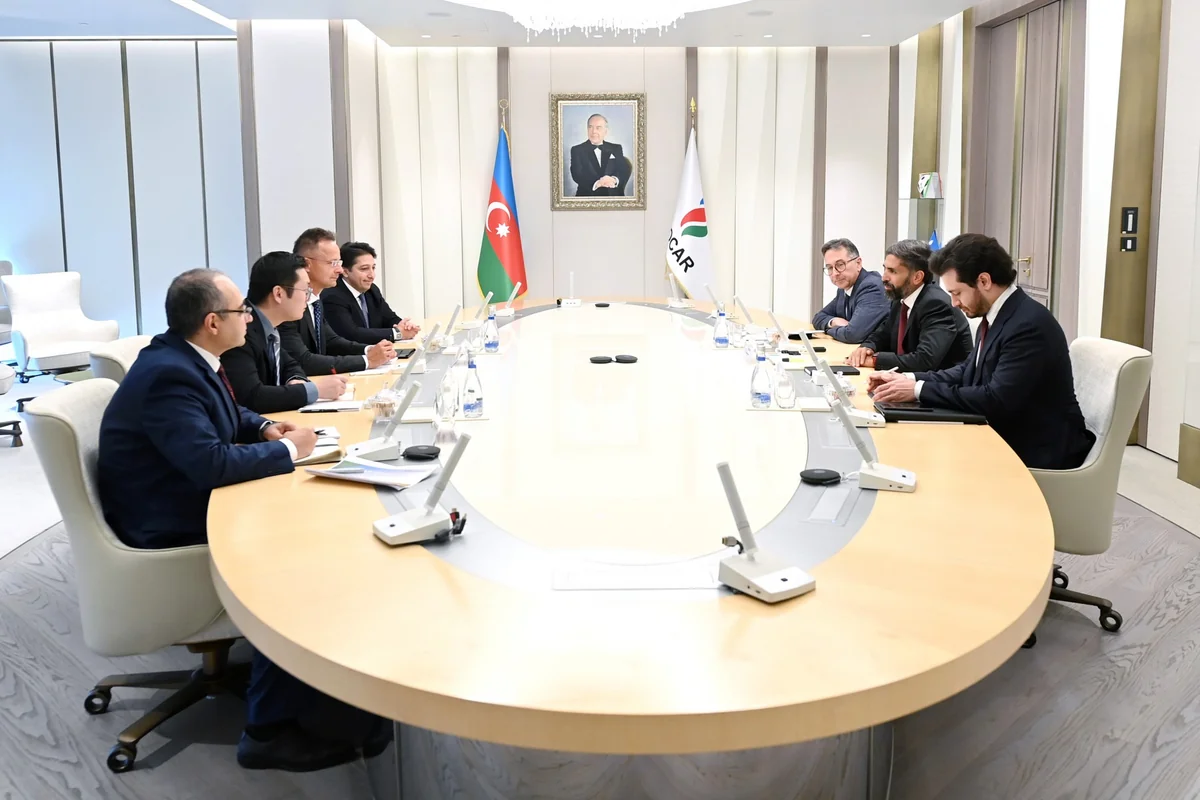 SOCAR и BYD обсудили зеленый поворот азербайджанской энергетики