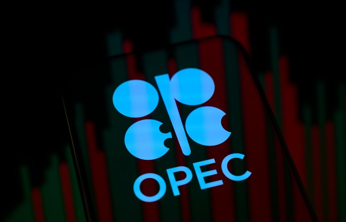 ОПЕК+ выразил обеспокоенность атаками на энергоинфраструктуру