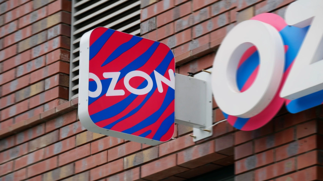 Ozon начал спасать дорогие товары после ударов по Wildberries