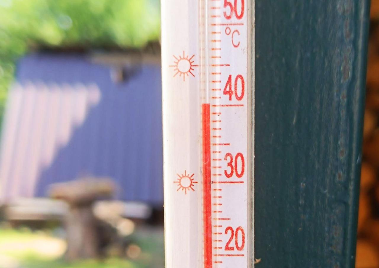 Аномальная жара в Чехии побила более 100 температурных рекордов 3 Аномальная жара в Чехии побила более 100 температурных рекордов