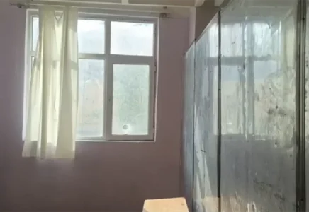 В Баку школу забросали камнями: пострадали ученики